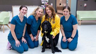 Healthcare assistants pictured with Irish Therapy Dog, Khai
