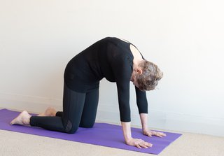 Demonstration of the cat stretch.