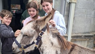 Three children smiling while petting a donkey