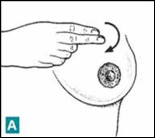Massage your breasts using your fingertips