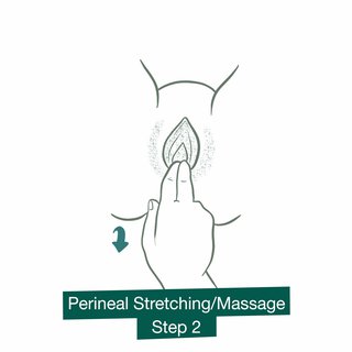 Illustration showing where to put your fingers inside your vagina and pressing down when doing a perineal massage