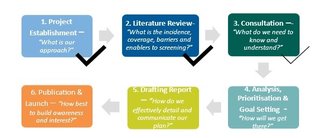 Process to develop a strategic framework to improve equity in screening
