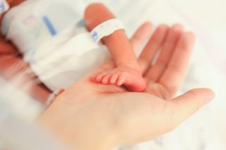 An adult's hand holds the foot of a premature baby in an incubator