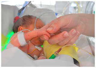 A premature baby in hospital wraps its hand around an adult's finger