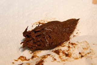 A piece of brown poo with 2 small white worms in it