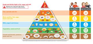 pyramid showing 5 shelves of foods children should eat daily.