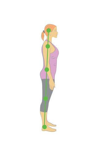 Illustration of a woman standing in the correct posture for pregnancy with a straight green line drawn over her body to represent the correct posture.