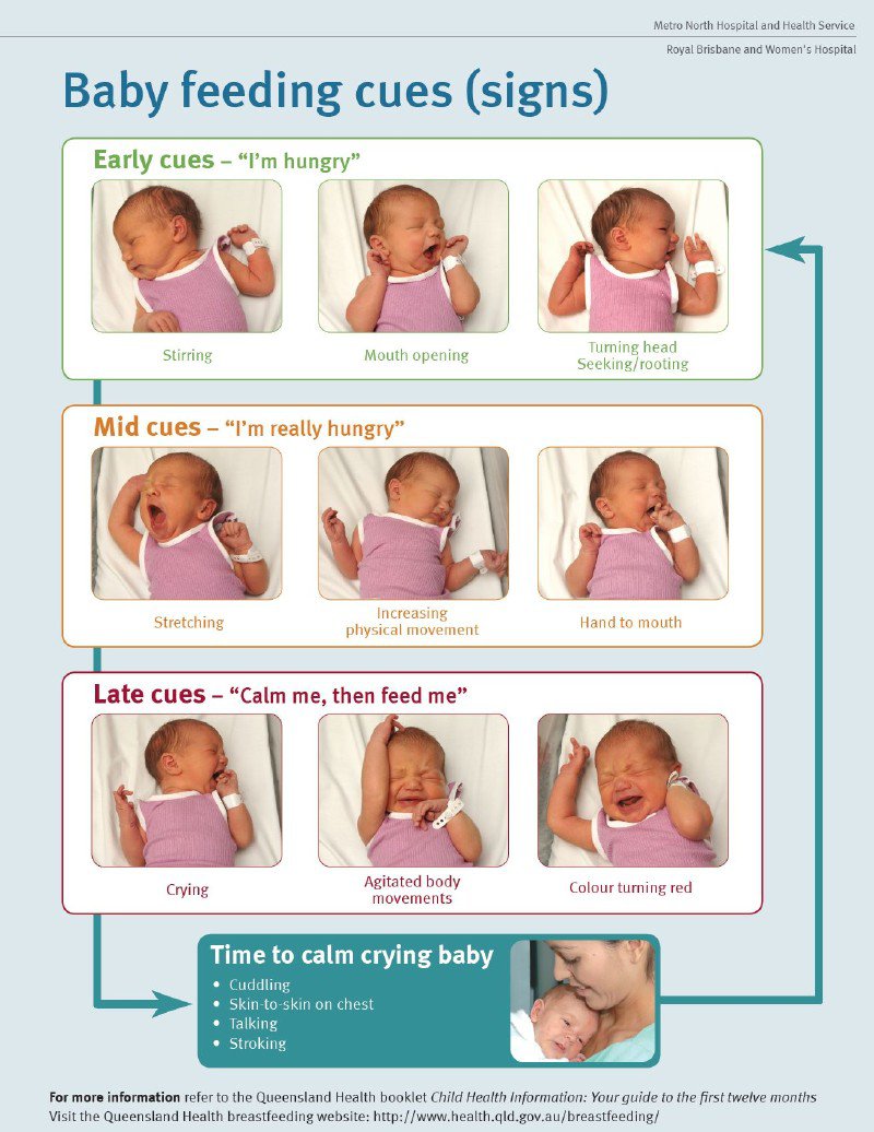 Breastfeeding Concern about overfeeding HSE.ie