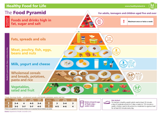 food-pyramid-simple-version