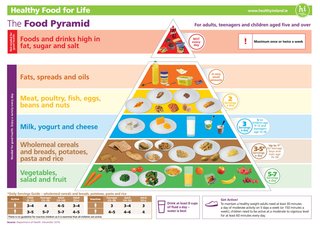 Food pyramid for 5 and older