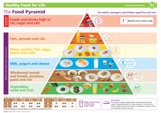 Food pyramid for 5 and over