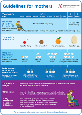 Infographic on how often a newborn baby may feed, and how many wet and dirty nappies to expect