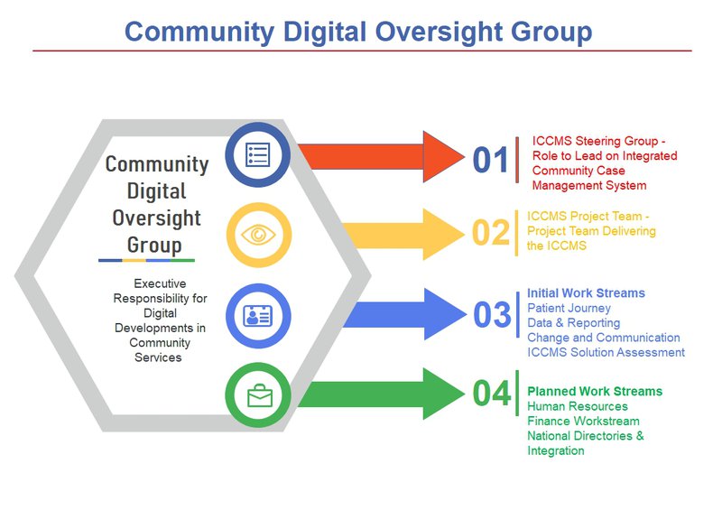 Process of the Community digital oversight group