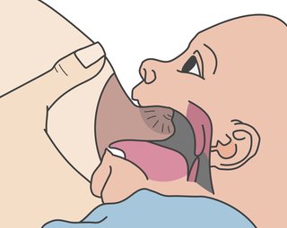 Cutaway illustration of a mother using her hand to guide her nipple into the roof of her baby's open mouth and the baby latching on