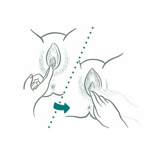 Illustration showing two fingers at the base of a vagina, pushing downward and to the side towards the anus